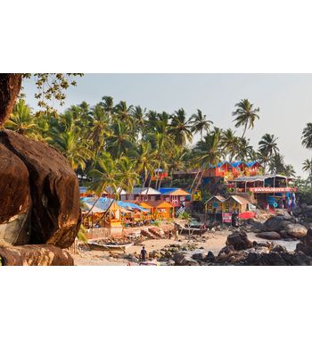 Прямой рейс в Гоа из Ташкента!